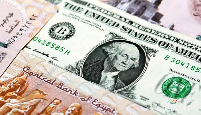 استقر الأخضر الأمريكي …سعر الدولار اليوم في السوق السوداء والبنوك الرسمية المختلفة