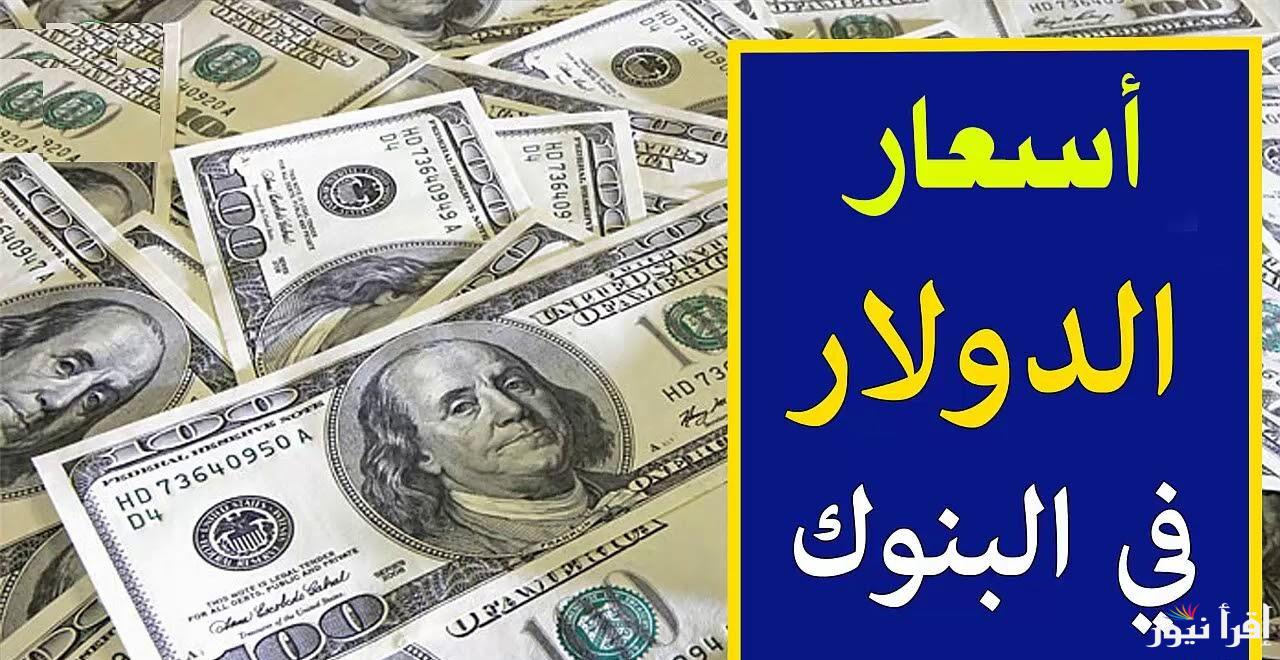 تحديث لحظي لسعر الدولار في البنك الأهلي المصري اليوم الجمعة 4 ابريل 2025 والسوق السوداء