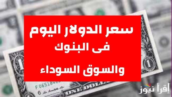 Dollar Now.. سعر الدولار مقابل الجنية المصري اليوم الثلاثاء 1 ابريل 2025 في البنك المركزي المصري