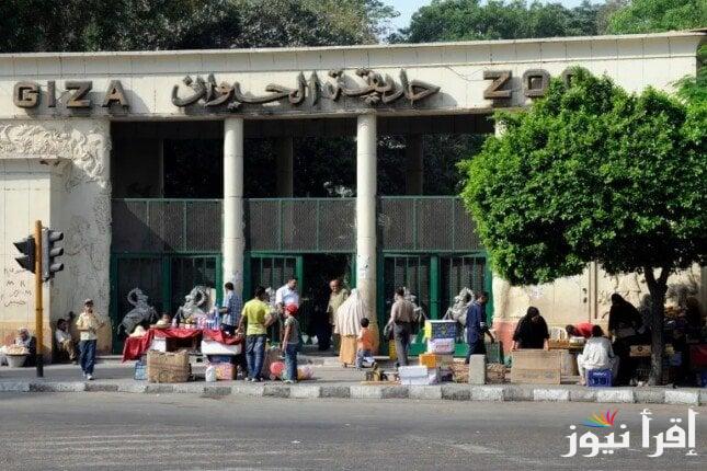 حَيْر الوحوش … سعر تذكر حديقة الحيوان بعد انتهاء التطوير والتفاصيل الكاملة عن الخطة الموضوعة للتطوير