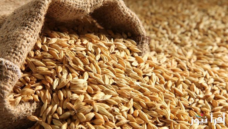 الطن وصل كام ؟.. سعر طن الأرز الشعير والأبيض في الاسواق اليوم الخميس 3 ابريل 2025