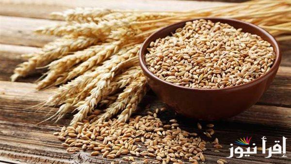 الحبة العريضة بكام؟.. سعر طن الأرز الشعير اليوم الاثنين 14 ابريل 2025 والأبيض في الأسواق المصرية