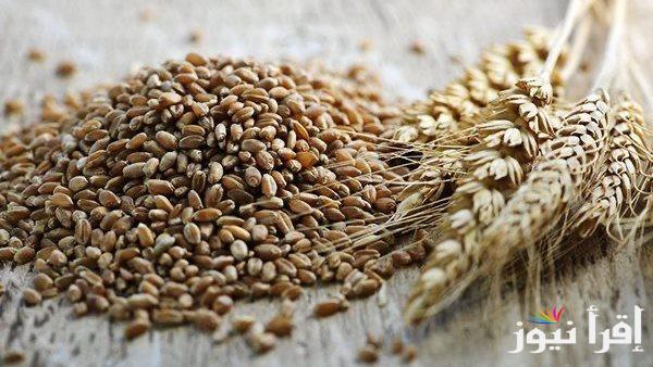 سعر طن الأرز الشعير اليوم السبت 26 ابريل 2025 عريض ورفيع الحبة في أسواق مصر