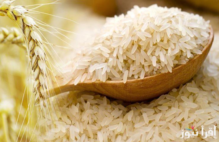 عريض ورفيع الحبة.. سعر طن الأرز الشعير اليوم الجمعة 18 ابريل 2025 في الأسواق المحلية