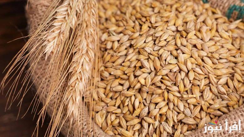 بكام يا رز وانا اشتريك.. سعر طن الأرز الشعير اليوم الاحد 20 ابريل 2025 في الأسواق