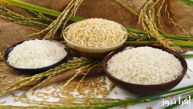 الأبيض والشعير بكام النهاردة؟؟ سعر طن الأرز الشعير اليوم الثلاثاء 22 ابريل 2025 وأسعار السلع الضرورية في السوق المحلي