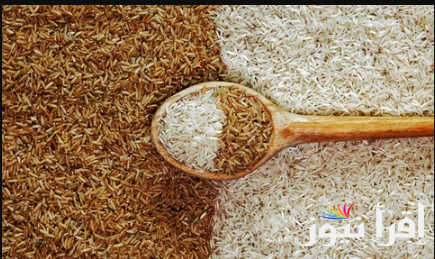 الحبة العريضة بكام النهاردة ؟سعر طن الأرز الشعير اليوم الخميس 3 ابريل 2025 في الأسواق المصرية