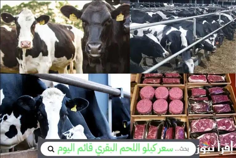 كيلو اللحمة بكام؟.. سعر كيلو اللحم البقري قائم اليوم 2025 في مصر جهز كاشات واشتري الأضحية دلوقتي قبل زحمة العيد