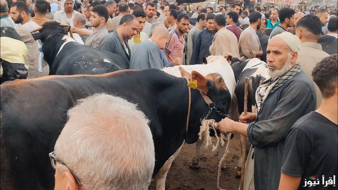 “قررت اي العيد دا؟” سعر كيلو اللحمة قائم اليوم 2025 في مصر لمختلف الثروة الحيوانية