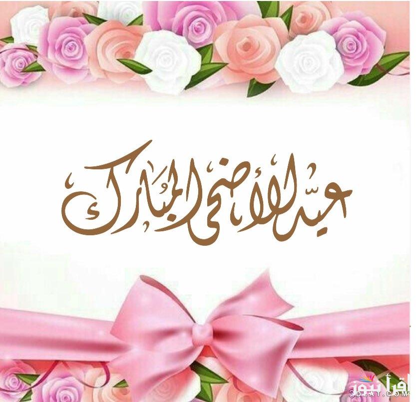 5 أيام إجازة.. مواعيد إجازة عيد الأضحى 1446-2025 في مصر مدفوعة الاجر لكافة العاملين في الدولة