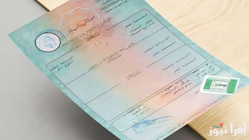 “تعرف على” طريقة استخراج شهادة ميلاد 2025 من المنزل عبر بوابة مصر الرقمية