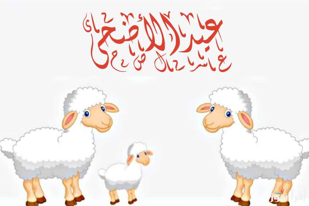 كم عدد أيام إجازة عيد الأضحى 2025؟ للعاملين بالقطاع العام والخاص