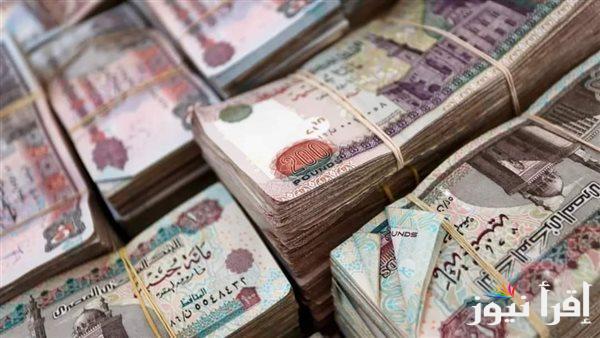 وزير المالية يُعلن.. موعد زيادة الحد الأدنى للأجور 2025 في مصر للعاملين بالجهات الحكومية