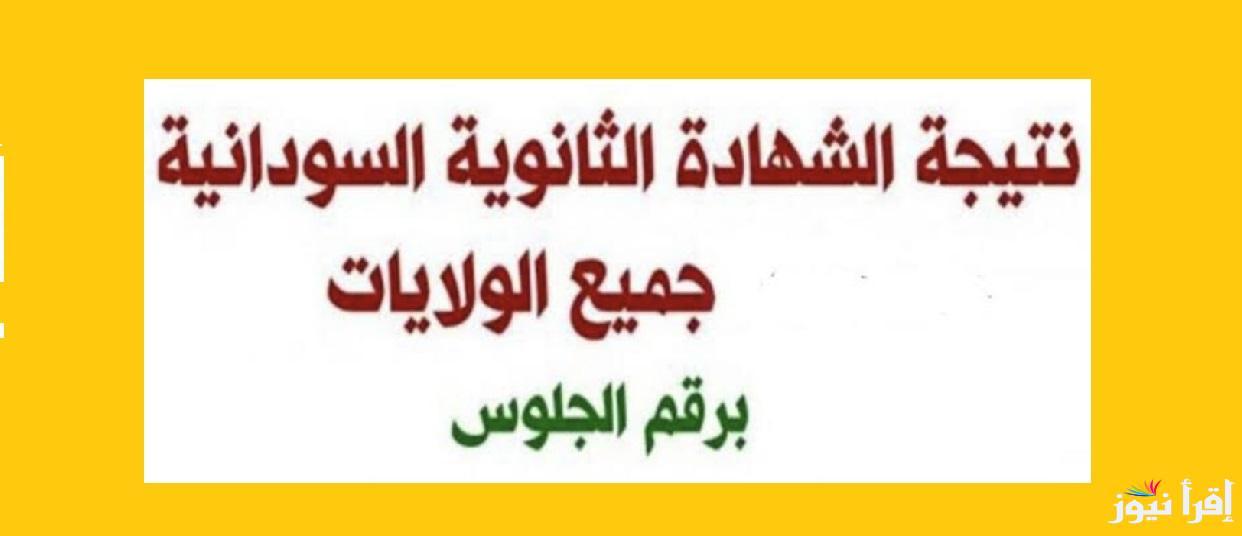 رابط نتيجة الشهادة السودانية المؤجلة فور ظهورها رسميًا على موقع الوزارة