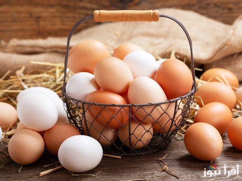 ‎”احمر وأبيض” سعر البيض الأحمر اليوم الأحد 6 ابريل 2025 في محلات البقالة المصرية