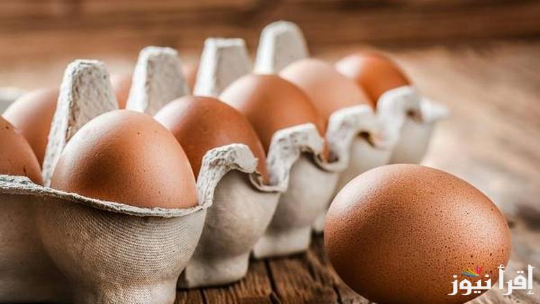 ‎”البيضة بكام؟” سعر كرتونة البيض اليوم للمستهلك الأحد 6 ابريل 2025 في الأسواق المحلية