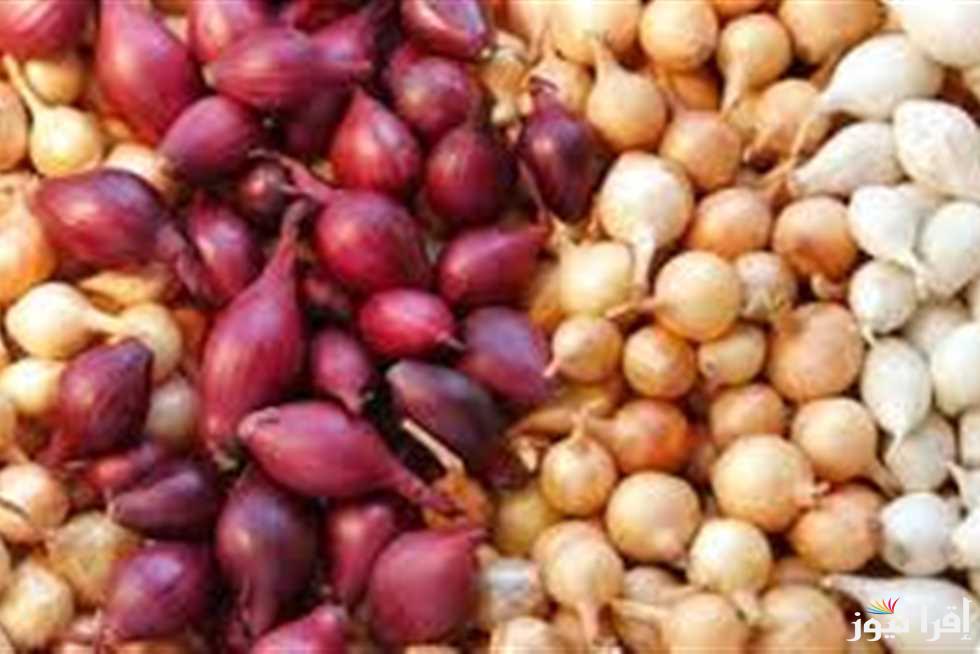 ‎”خزني ياست الكل” سعر كيلو البصل اليوم الأربعاء 2 أبريل 2025 في جميع الأسواق المصرية وسوق العبور