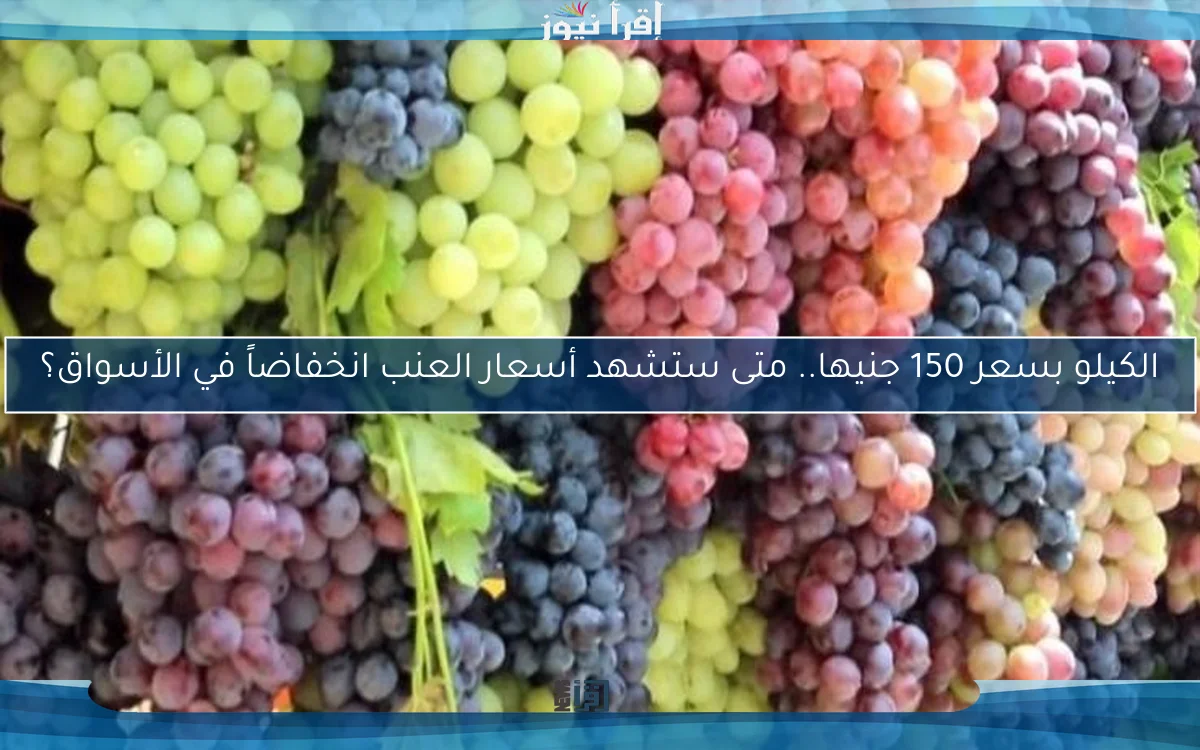 الكيلو بسعر 150 جنيها.. متى ستشهد أسعار العنب انخفاضاً في الأسواق؟