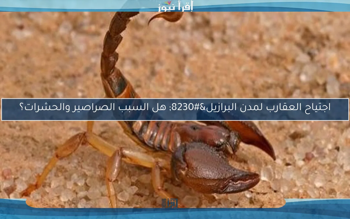 اجتياح العقارب لمدن البرازيل… هل السبب الصراصير والحشرات؟