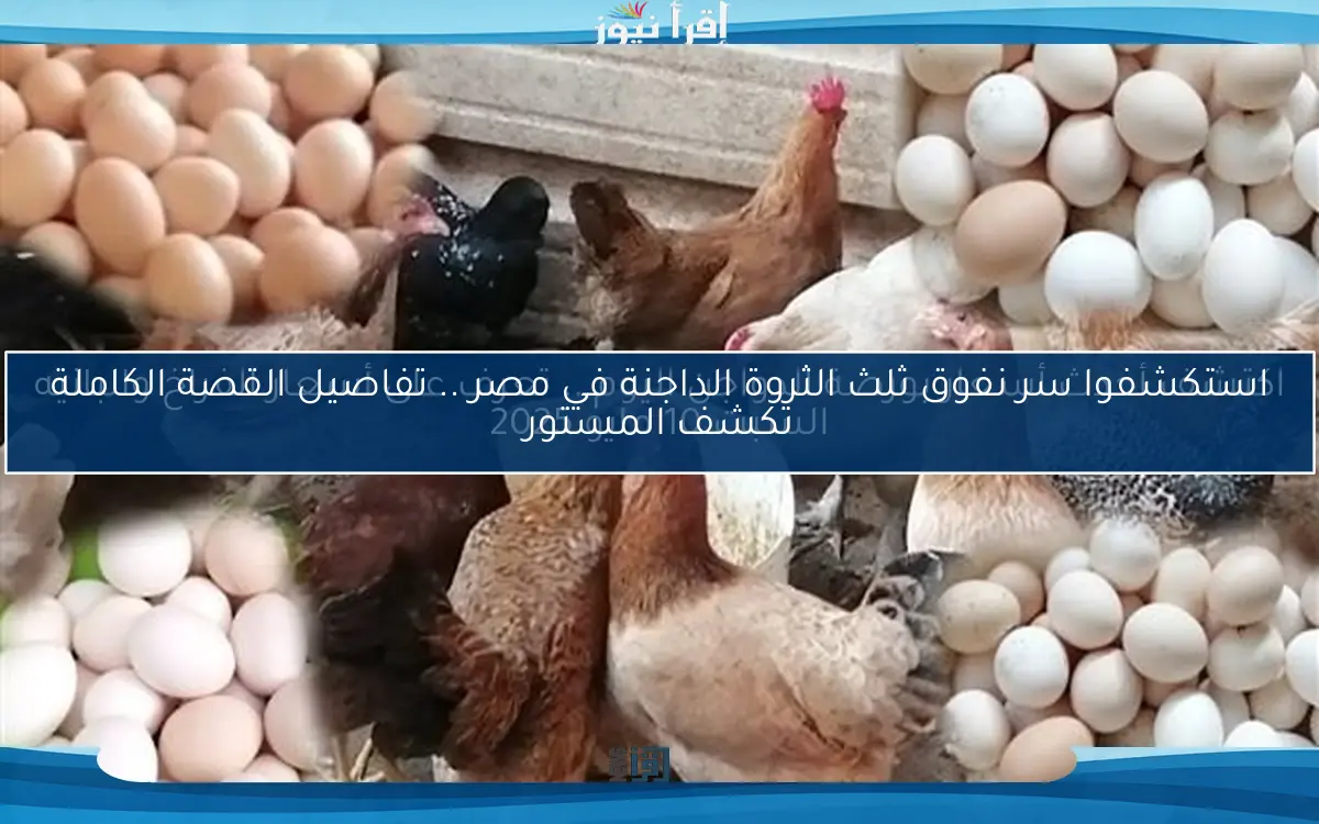 استكشفوا سر نفوق ثلث الثروة الداجنة في مصر .. تفاصيل القصة الكاملة تكشف المستور