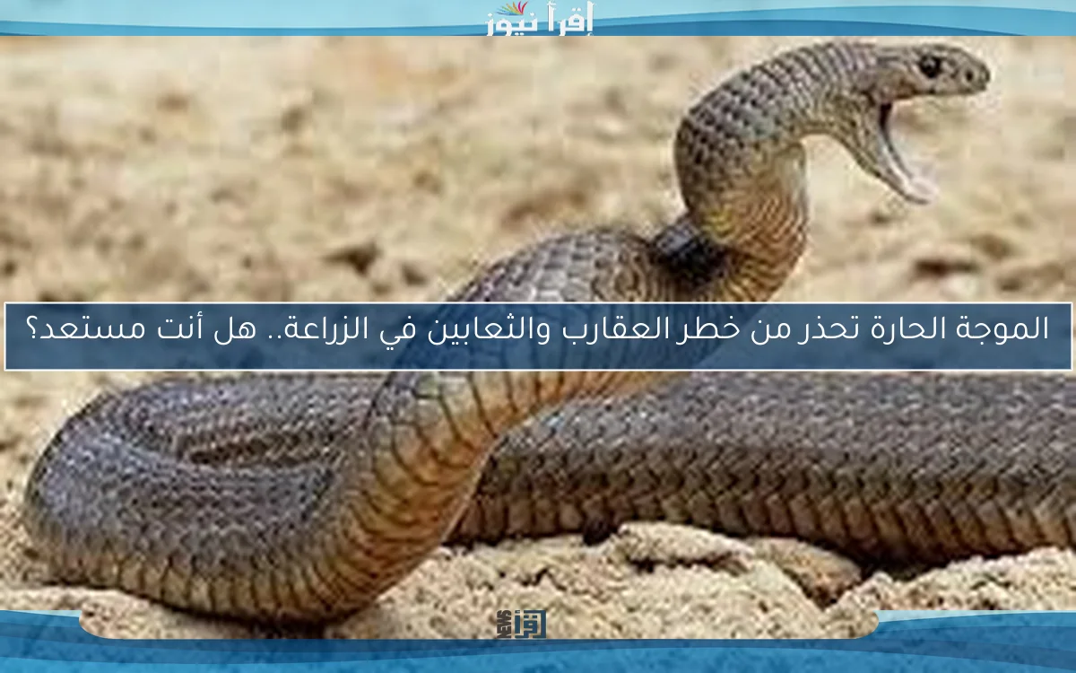 الموجة الحارة تحذر من خطر العقارب والثعابين في الزراعة.. هل أنت مستعد؟