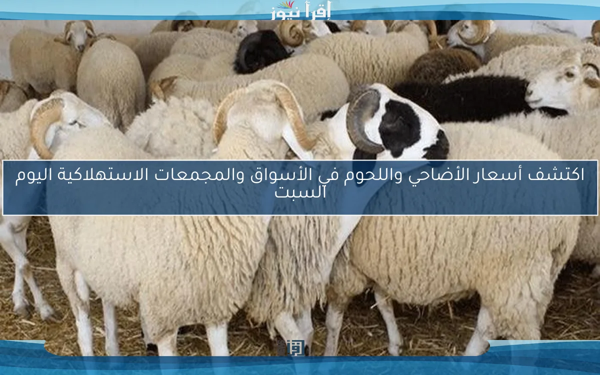 اكتشف أسعار الأضاحي واللحوم في الأسواق والمجمعات الاستهلاكية اليوم السبت