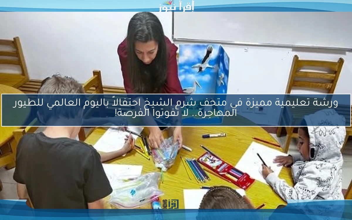 ورشة تعليمية مميزة في متحف شرم الشيخ احتفالاً باليوم العالمي للطيور المهاجرة.. لا تفوتوا الفرصة!