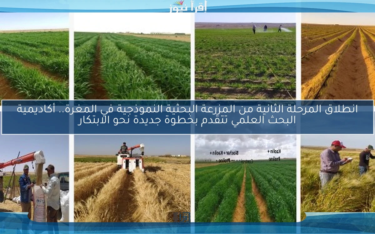 انطلاق المرحلة الثانية من المزرعة البحثية النموذجية في المغرة.. أكاديمية البحث العلمي تتقدم بخطوة جديدة نحو الابتكار