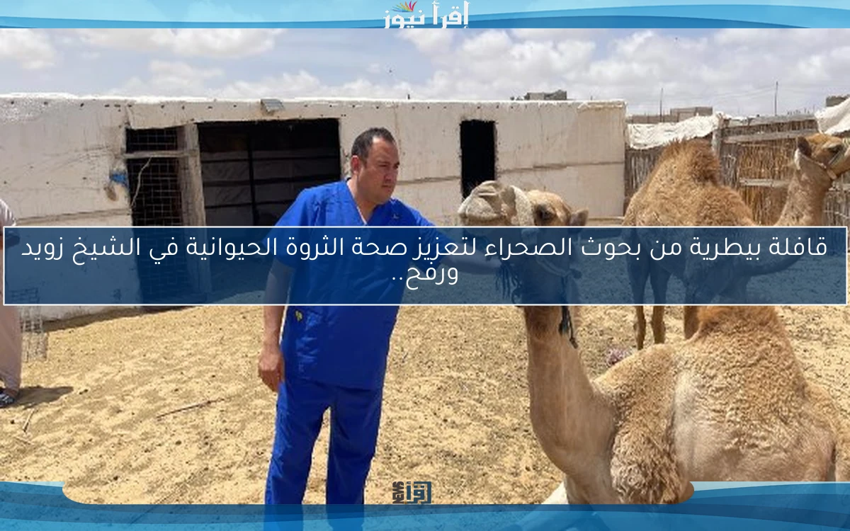 قافلة بيطرية من بحوث الصحراء لتعزيز صحة الثروة الحيوانية في الشيخ زويد ورفح..