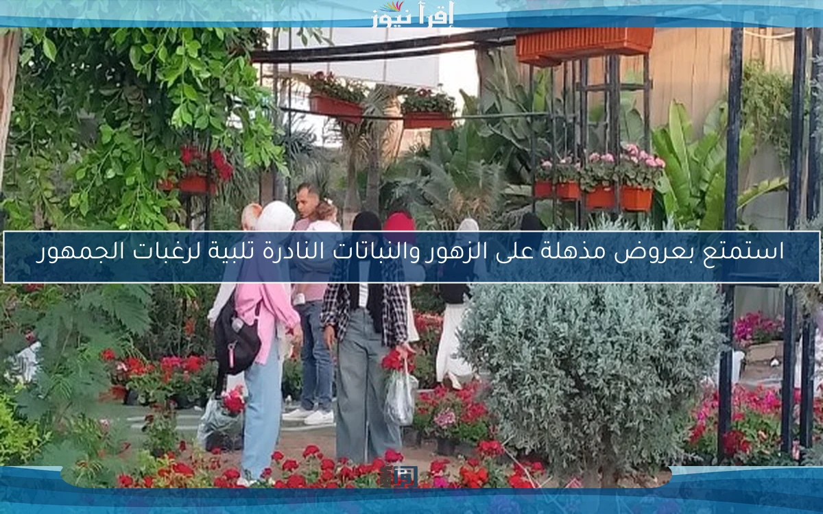 استمتع بعروض مذهلة على الزهور والنباتات النادرة تلبية لرغبات الجمهور