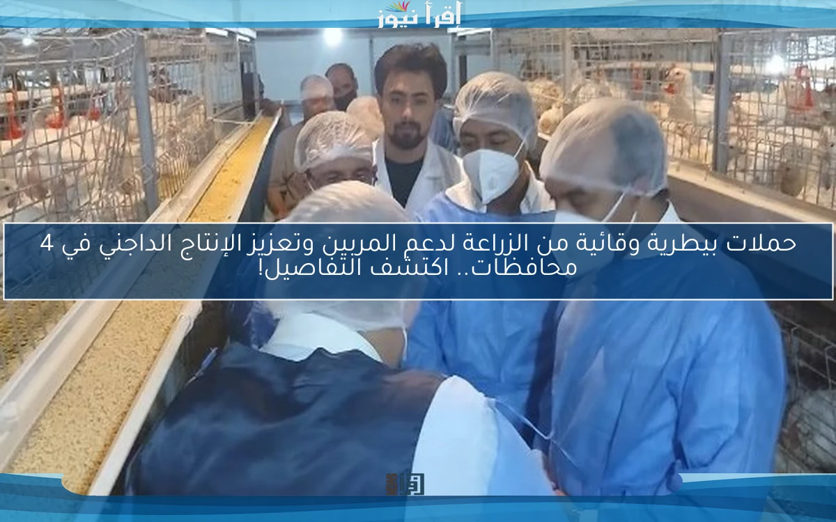 حملات بيطرية وقائية من الزراعة لدعم المربين وتعزيز الإنتاج الداجني في 4 محافظات.. اكتشف التفاصيل!