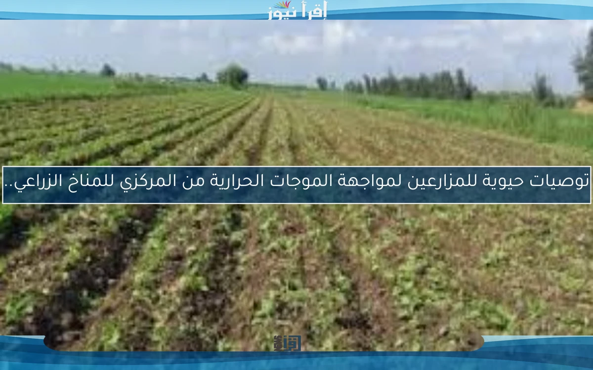 توصيات حيوية للمزارعين لمواجهة الموجات الحرارية من المركزي للمناخ الزراعي..
