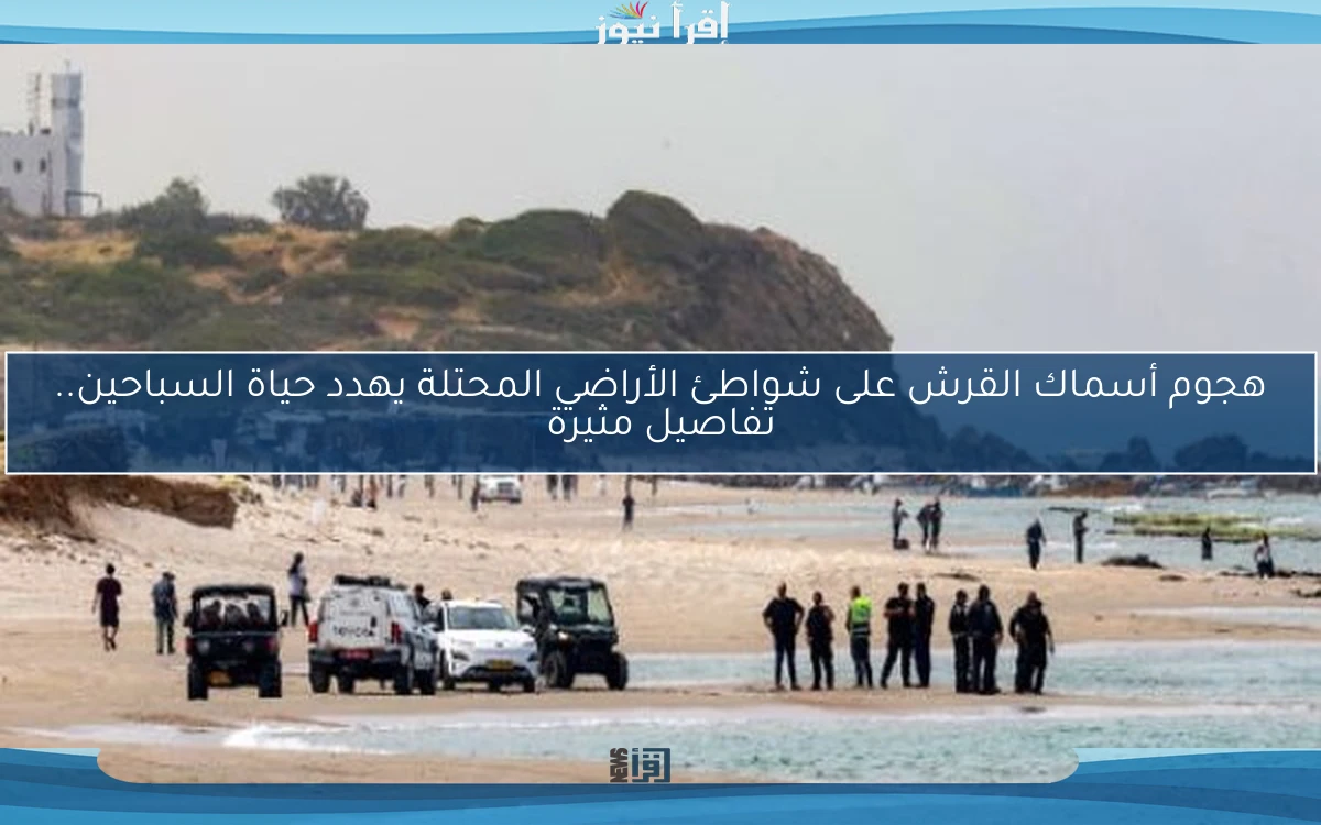 هجوم أسماك القرش على شواطئ الأراضي المحتلة يهدد حياة السباحين.. تفاصيل مثيرة