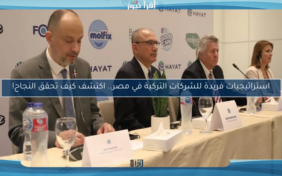 استراتيجيات فريدة للشركات التركية في مصر.. اكتشف كيف تحقق النجاح!