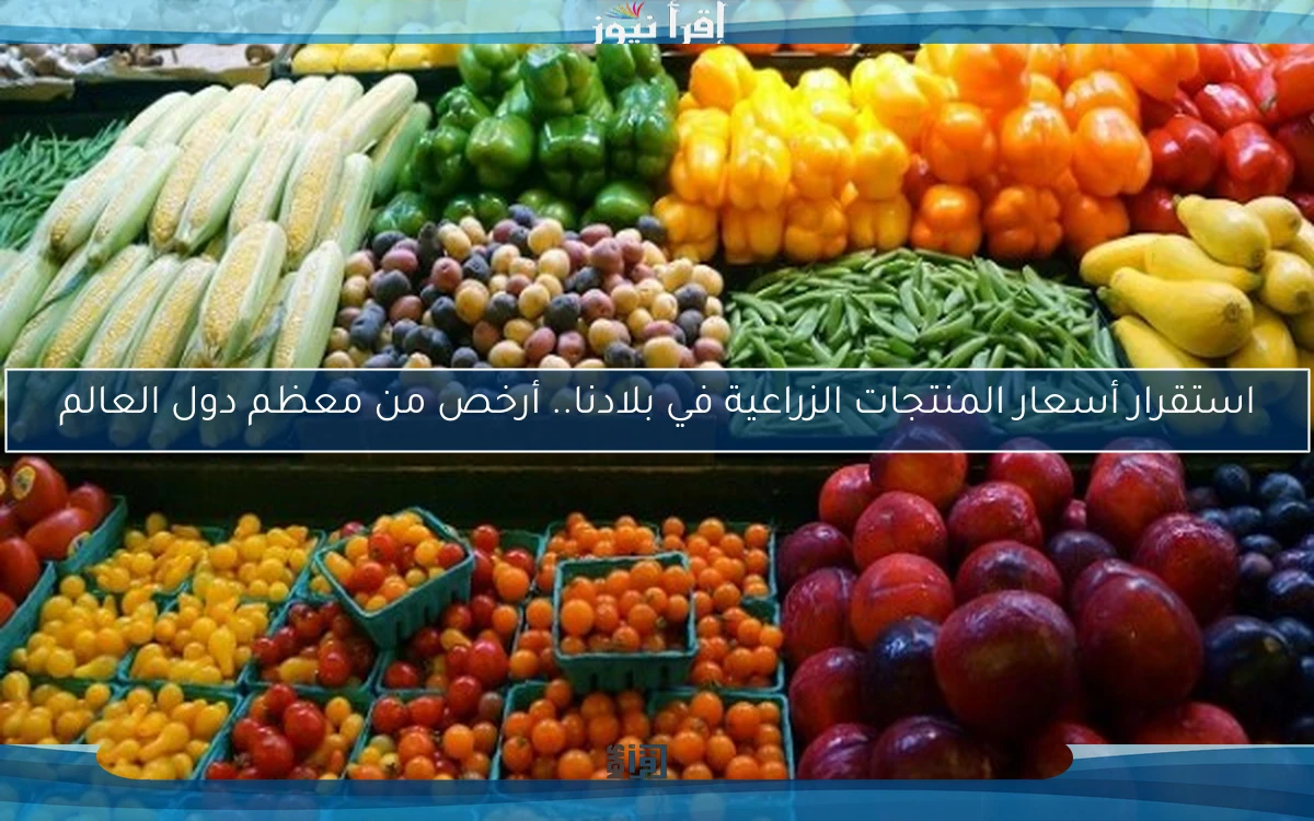 استقرار أسعار المنتجات الزراعية في بلادنا.. أرخص من معظم دول العالم
