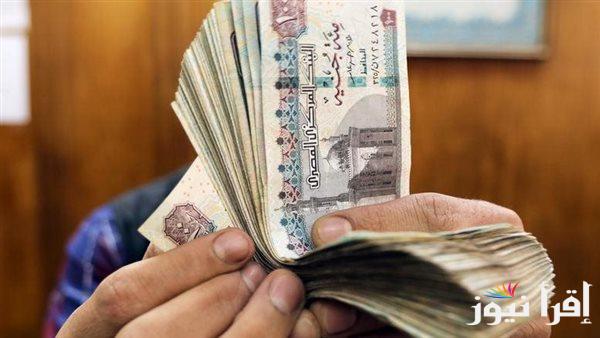 نائب رئيس اتحاد العمال: تغييرات كبيرة في نظام الأجور بمصر منذ تولي السيسي الحكم