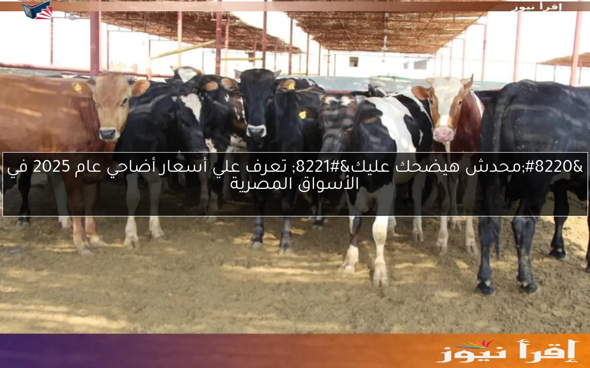 “محدش هيضحك عليك” تعرف علي أسعار أضاحي عام 2025 في الأسواق المصرية