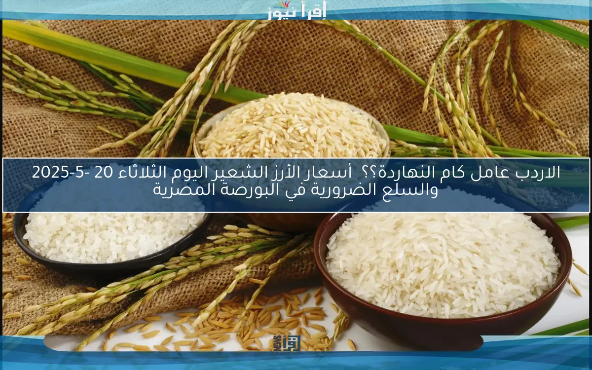 الاردب عامل كام النهاردة؟؟ أسعار الأرز الشعير اليوم الثلاثاء 20 -5-2025 والسلع الضرورية في البورصة المصرية