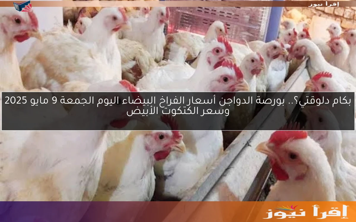 بكام دلوقتي؟.. بورصة الدواجن أسعار الفراخ البيضاء اليوم الجمعة 9 مايو 2025 وسعر الكتكوت الأبيض
