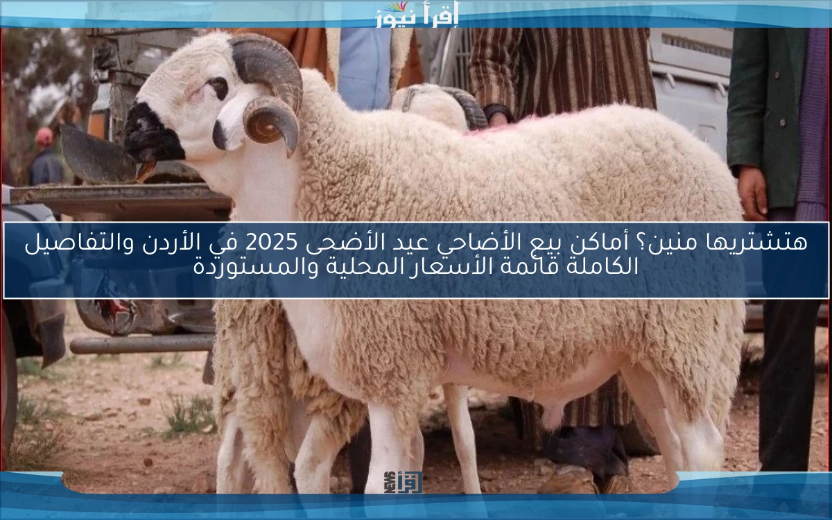هتشتريها منين؟ أماكن بيع الأضاحي عيد الأضحى 2025 في الأردن والتفاصيل الكاملة قائمة الأسعار المحلية والمستوردة