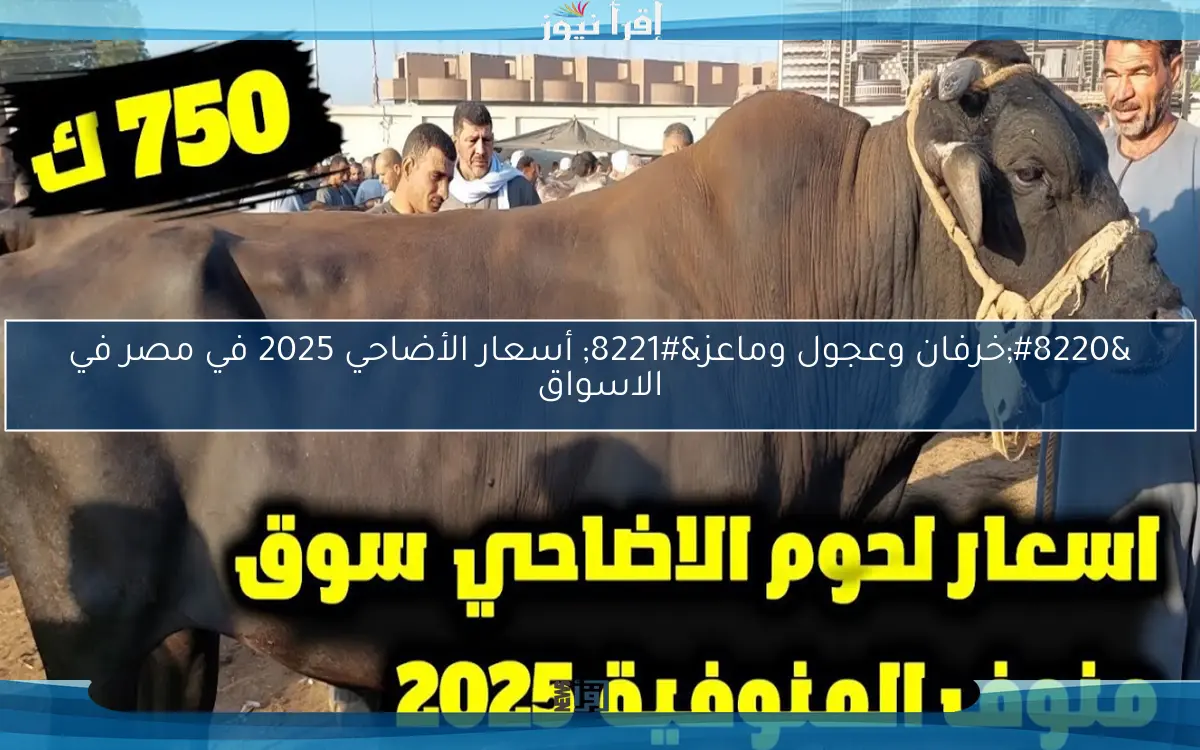 “خرفان وعجول وماعز” أسعار الأضاحي 2025 في مصر في الاسواق