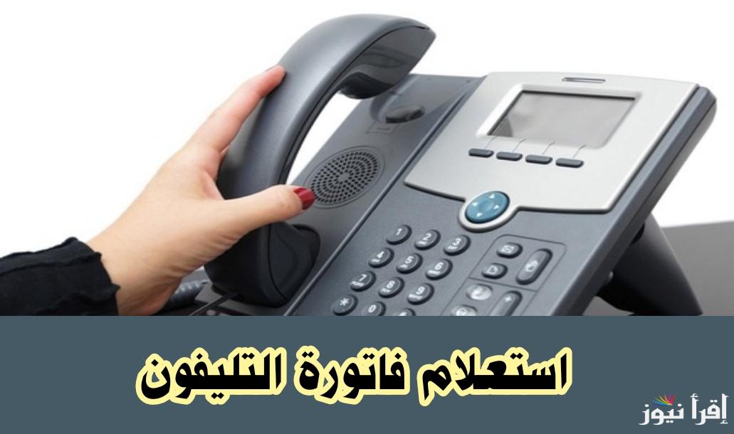 “مش هتحتاج تنزل” الاستعلام عن فاتورة التليفون الأرضي بالرقم من خلال موقع الشركة المصرية للاتصالات الرسمي