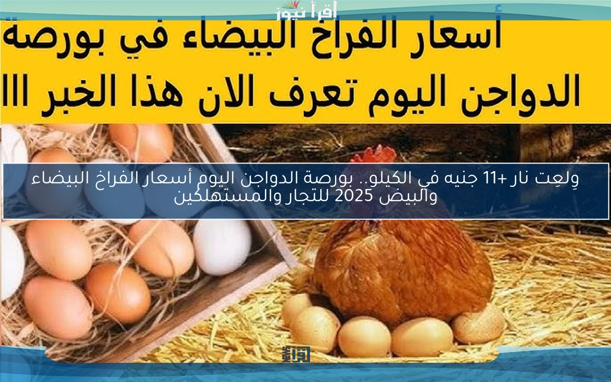 وِلعِت نار +11 جنيه في الكيلو.. بورصة الدواجن اليوم أسعار الفراخ البيضاء والبيض 2025 للتجار والمستهلكين