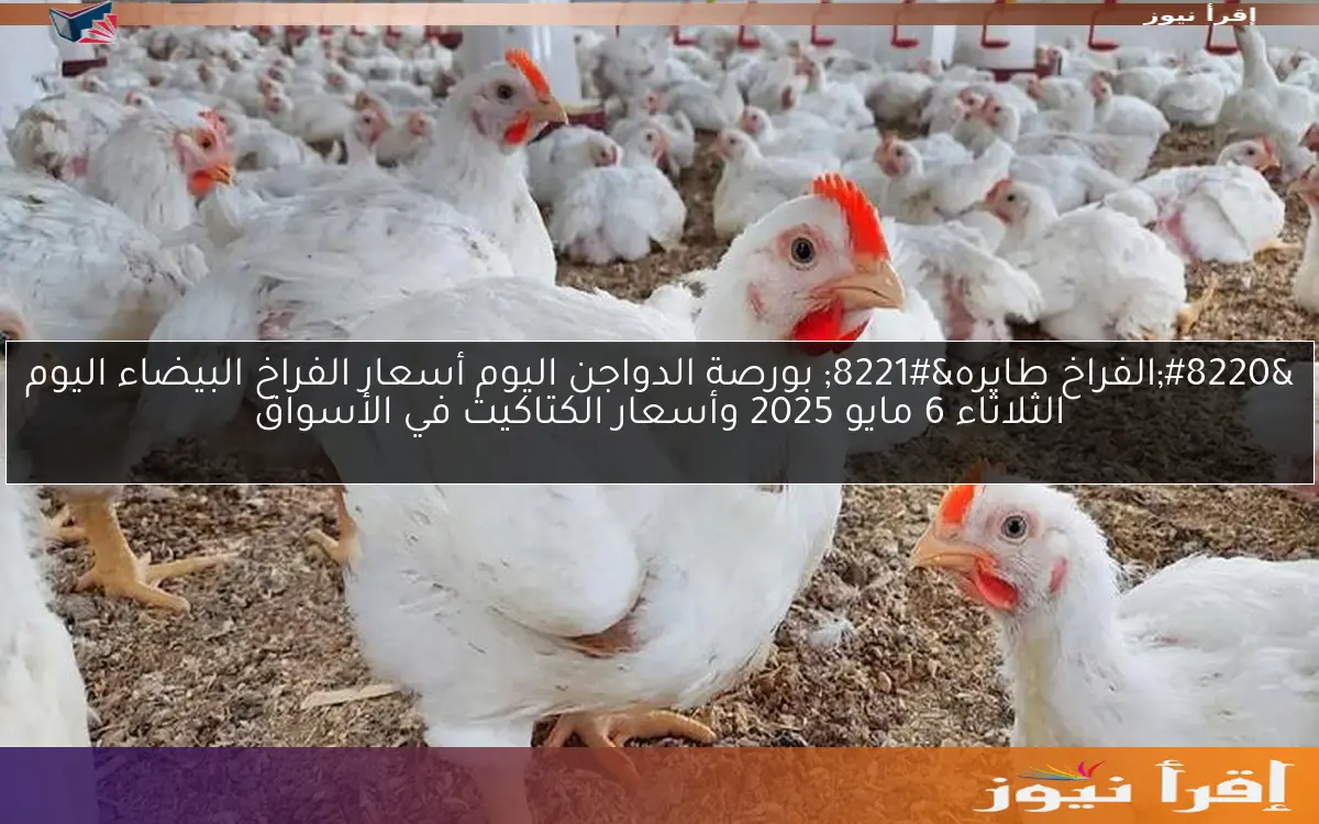 “الفراخ طايره” بورصة الدواجن اليوم أسعار الفراخ البيضاء اليوم الثلاثاء 6 مايو 2025 وأسعار الكتاكيت في الأسواق