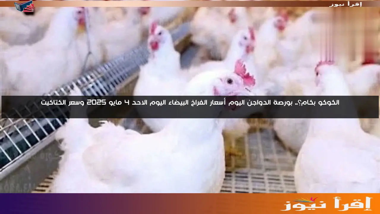 الكوكو بكام؟.. بورصة الدواجن اليوم أسعار الفراخ البيضاء اليوم الاحد 4 مايو 2025 وسعر الكتاكيت