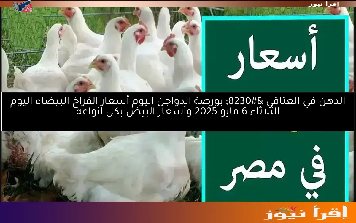 الدهن في العتاقي … بورصة الدواجن اليوم أسعار الفراخ البيضاء اليوم الثلاثاء 6 مايو 2025 وأسعار البيض بكل انواعه