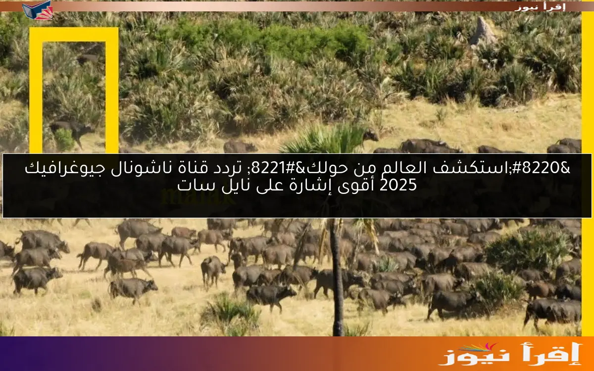 “استكشف العالم من حولك” تردد قناة ناشونال جيوغرافيك 2025 أقوى إشارة على نايل سات