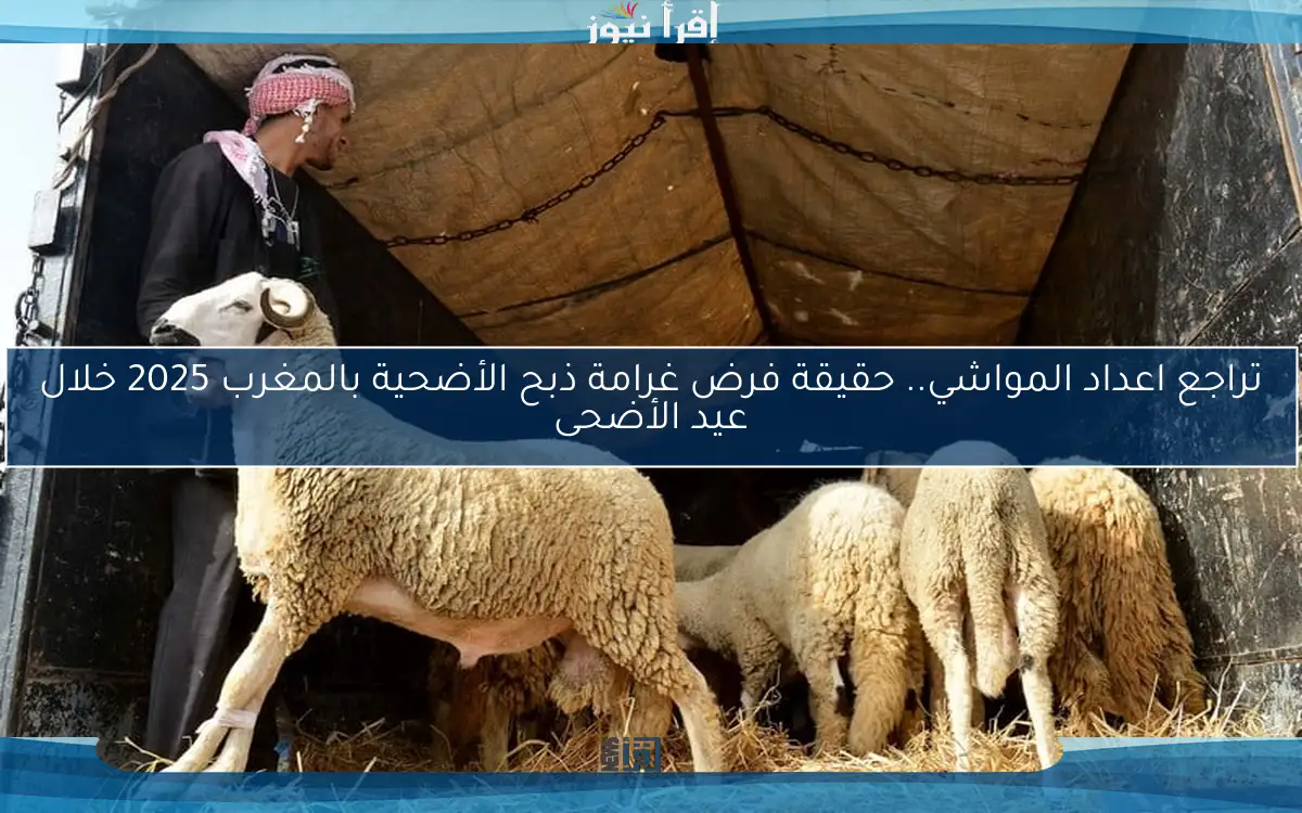 تراجع اعداد المواشي.. حقيقة فرض غرامة ذبح الأضحية بالمغرب 2025 خلال عيد الأضحى