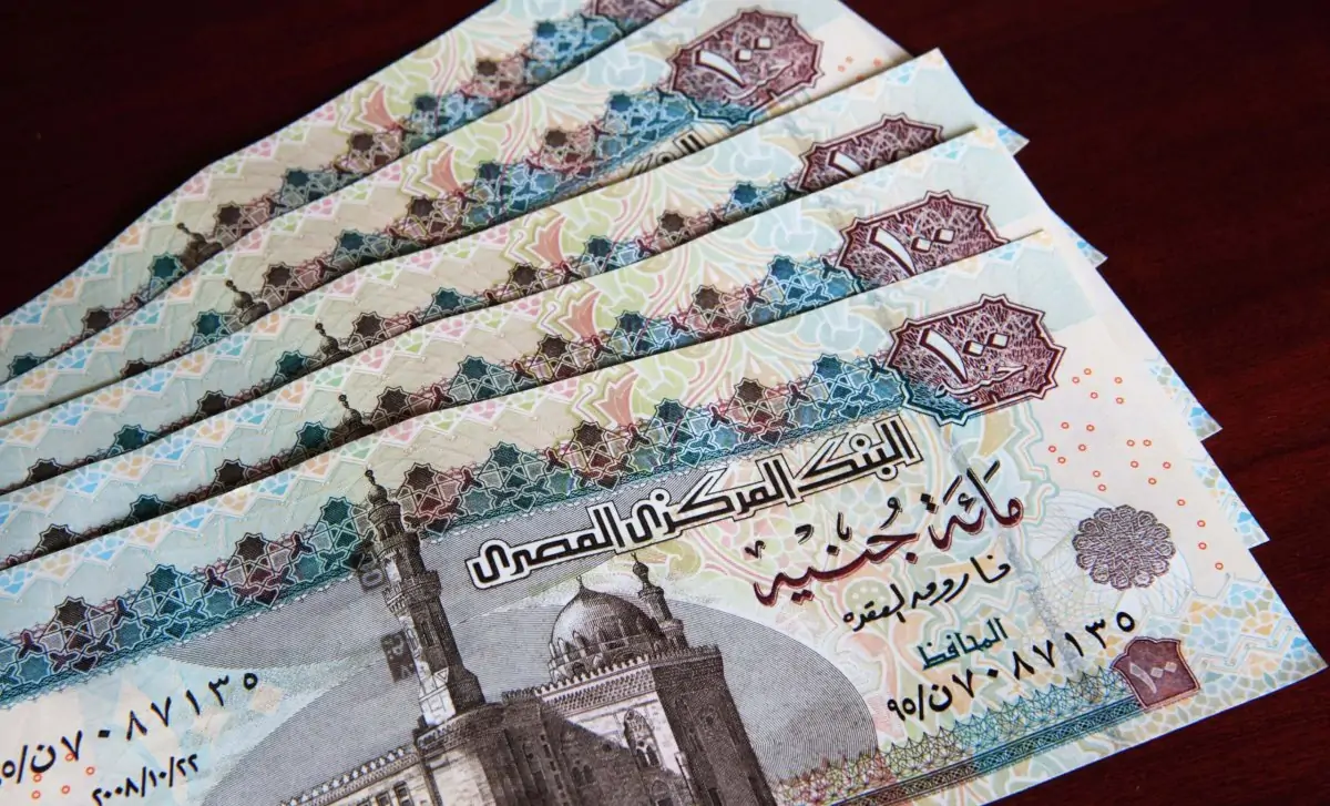 “فلوس العيد كام” رابط الاستعلام عن منحة العمالة الغير منتظمة 2025 بالرقم القومي والشروط المطلوبة للحصول على المنحة