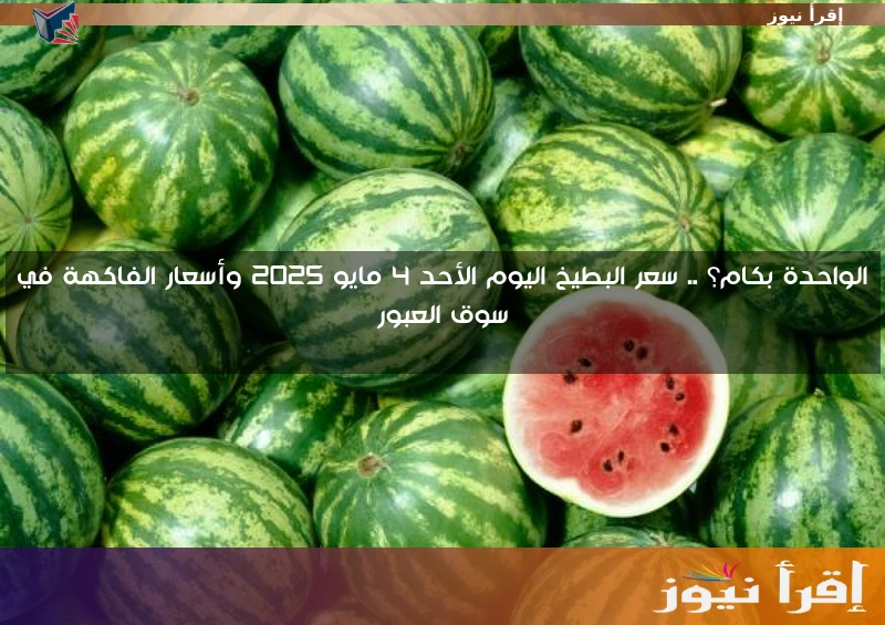 الواحدة بكام؟ .. سعر البطيخ اليوم الأحد 4 مايو 2025 وأسعار الفاكهة في سوق العبور